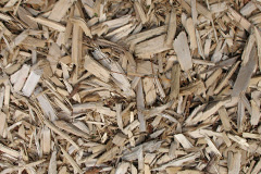 biomass boilers Exnaboe